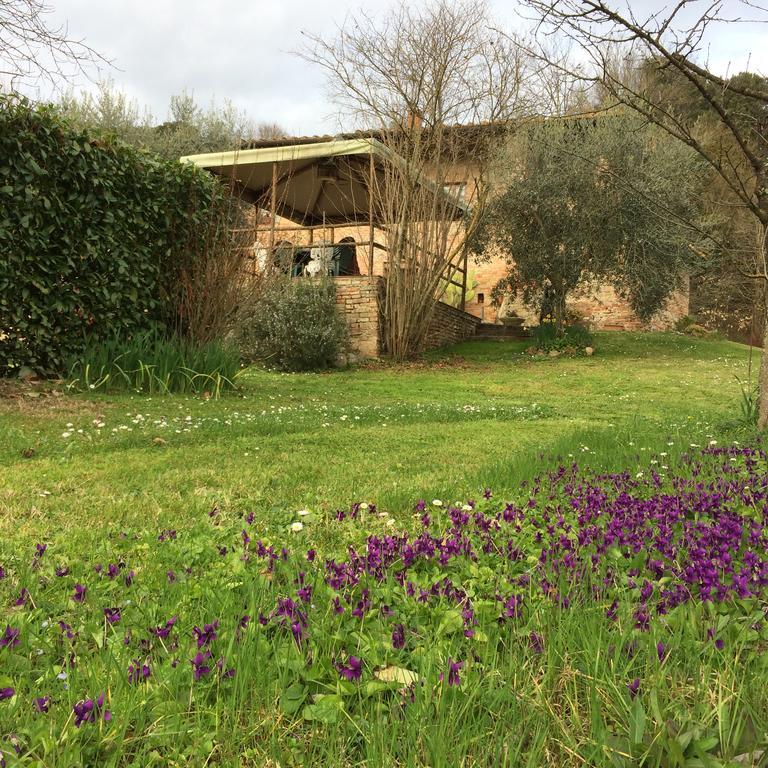 Podere Il Pero Сиена Екстериор снимка